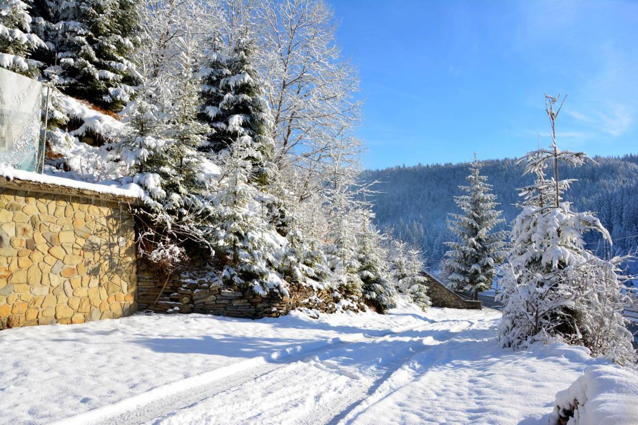 Hotel Bereg Bukoveľ Exteriér fotografie